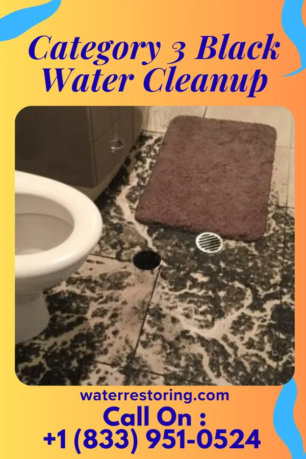 Category 3 Black Water Cleanup in Newport, KY